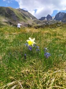 Depth of field example