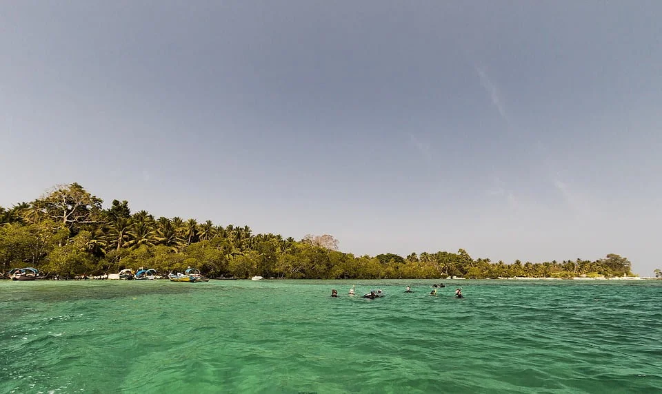 Diving in The Andaman Islands