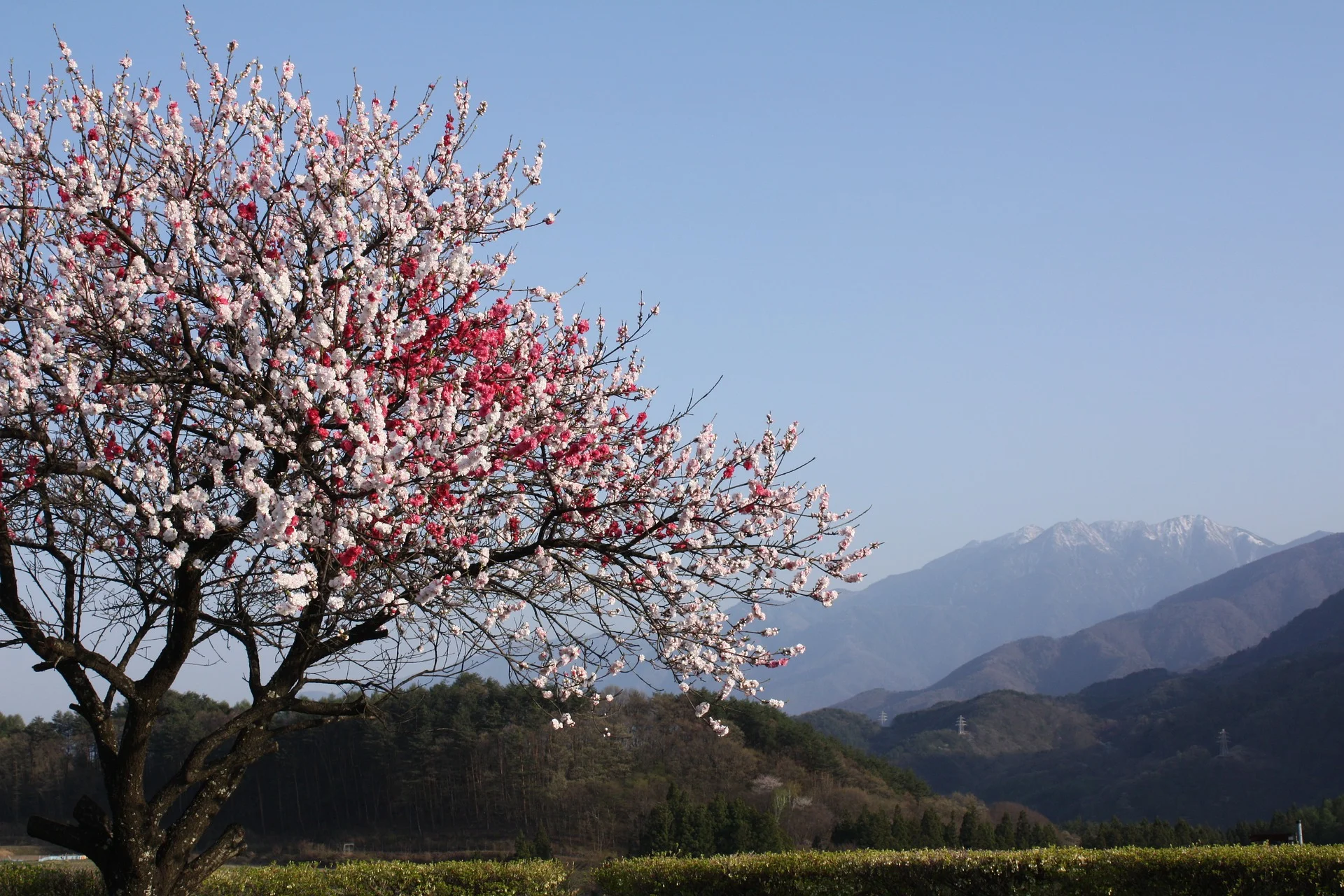 Komagatake