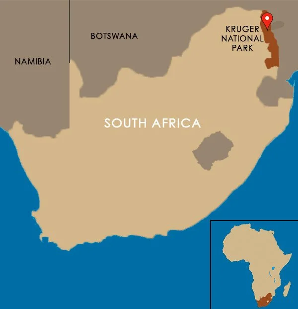 Kruger National Park Map