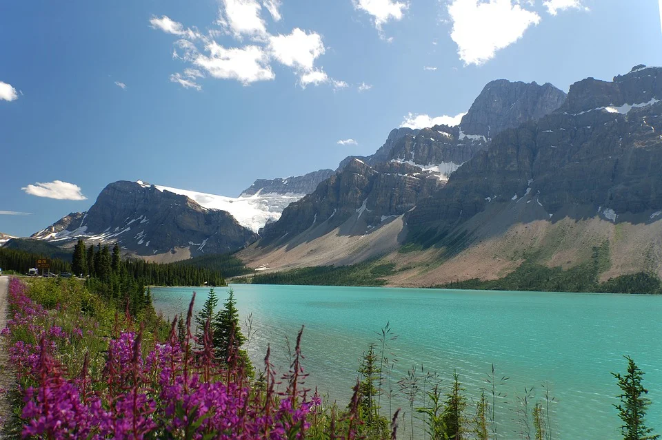 Peyto Lake Canada
