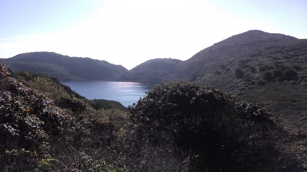 Point Reyes