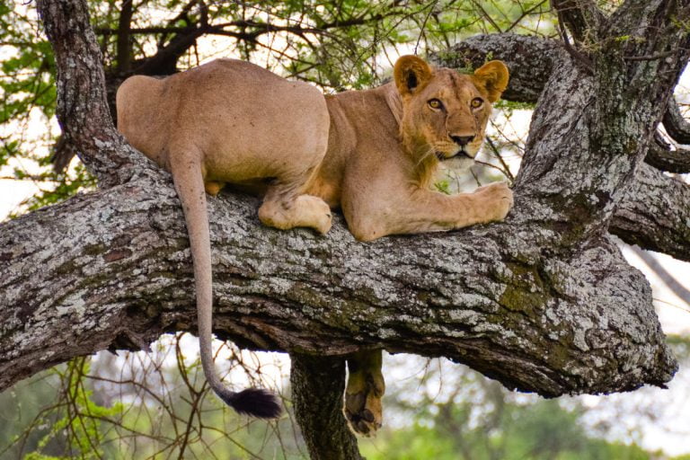 The Most Beautiful Places to See in Tanzania