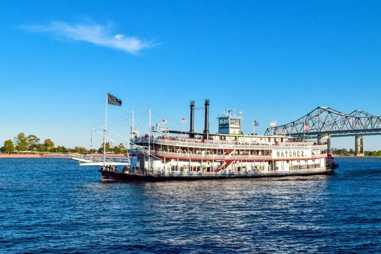 6 Unique Ways to Experience Coastal Mississippi Wildlife