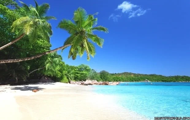 The Seychelles