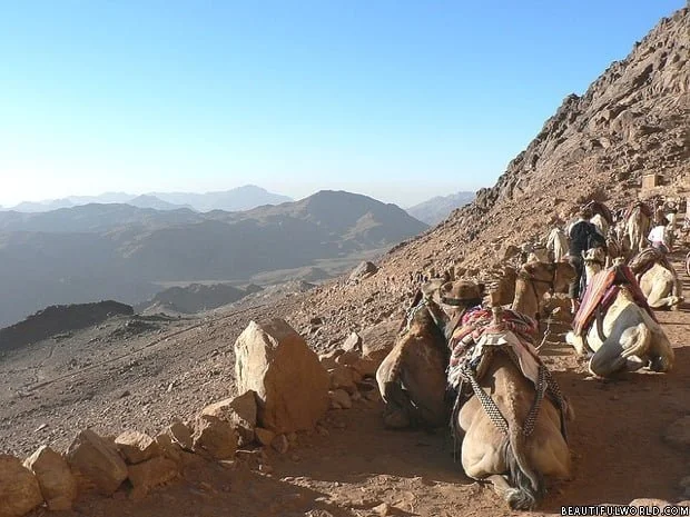 Mount Sinai