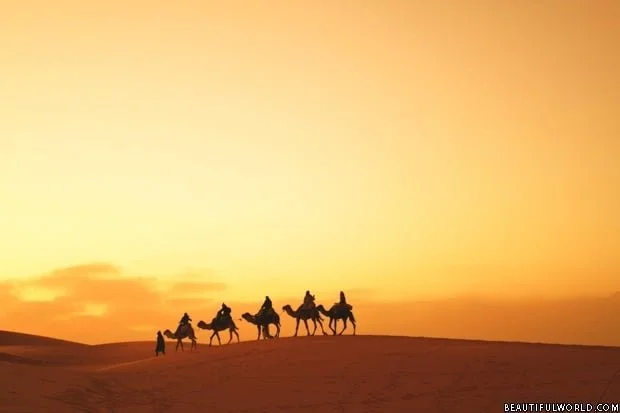 caravan-sahara-desert