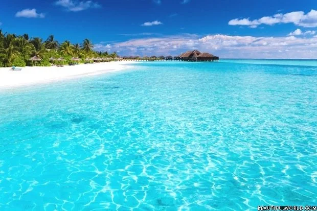 The clear waters of the Maldives