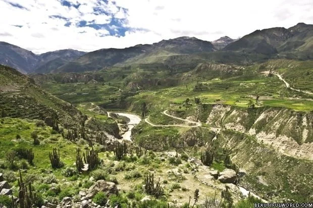 Colca Canyon