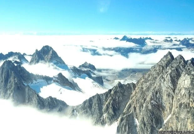 denali-national-park