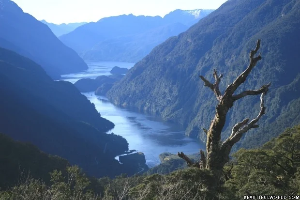 Fiordland National Park