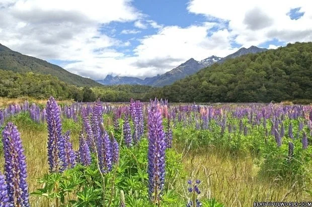 eglinton-river-valley