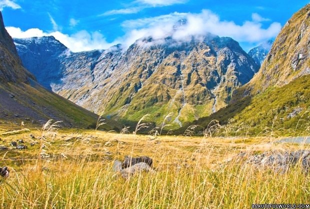 fiordland-national-park