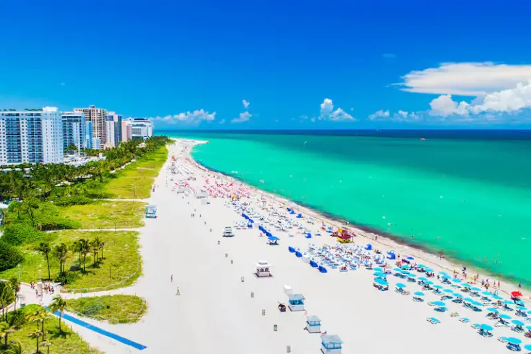 From Beaches to Swamps: Florida’s Diverse Natural Wonders
