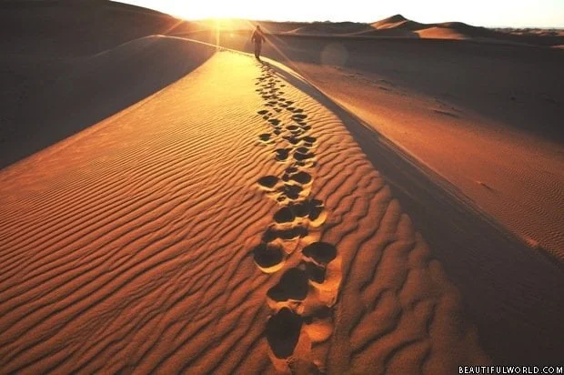 footprints-namib-desert