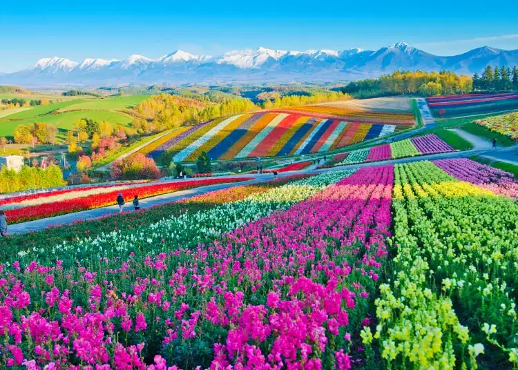 The Most scenic towns to visit in Japan