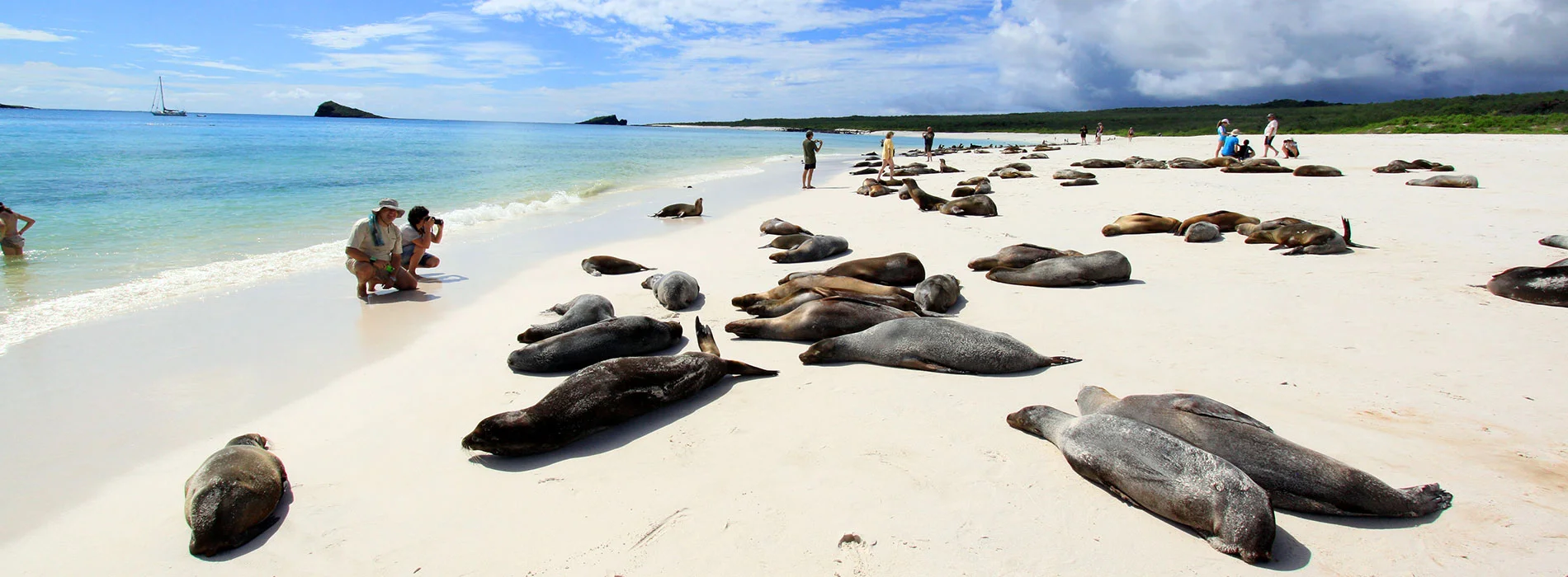 Isla Santa Cruz Galapagos