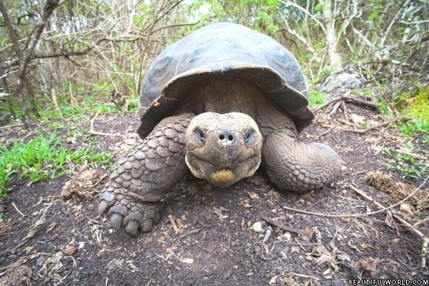 Galapagos National Park