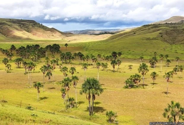 Gran Sabana