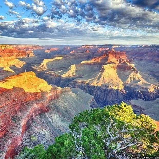 grand-canyon-arizona