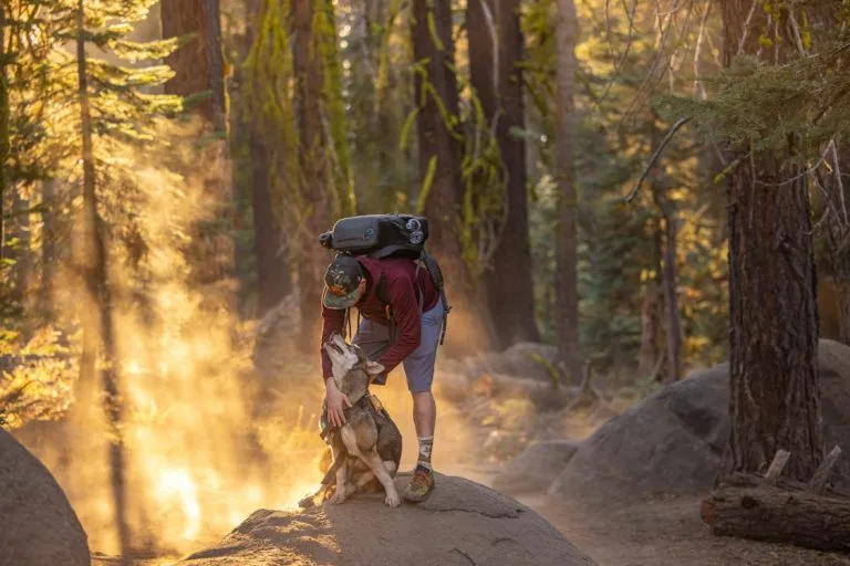 How Digital Tools Enhance Travel Photography Experiences