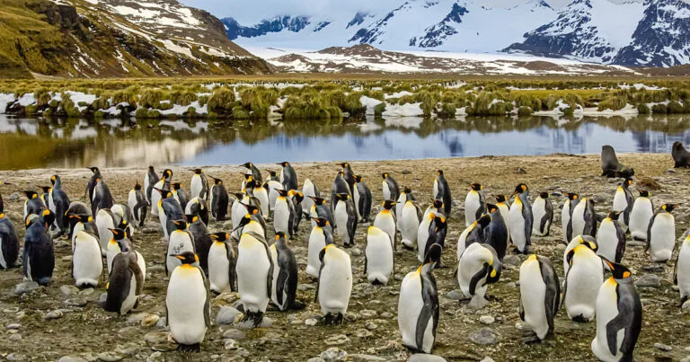 The Most Beautiful Places to Visit in Antarctica 