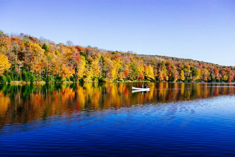Best Camping Spots on the US East Coast