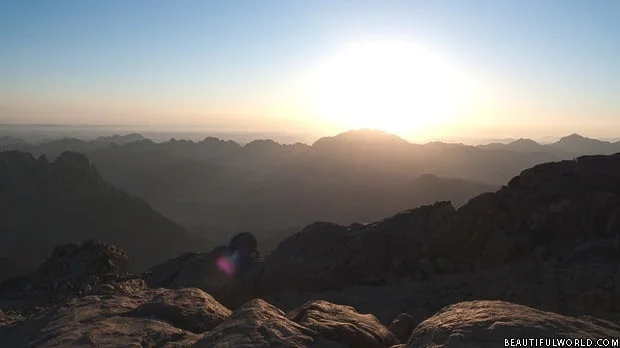 mount-sinai