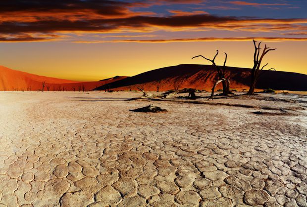 Namib Desert