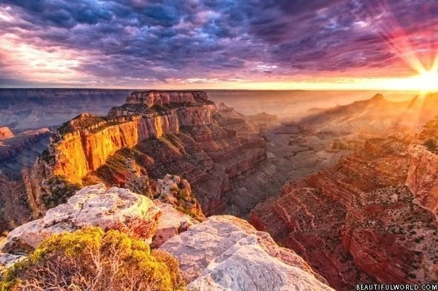The Grand Canyon