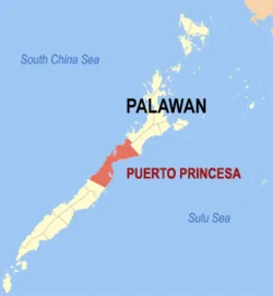 Palawan Puerto Princesa Location Map