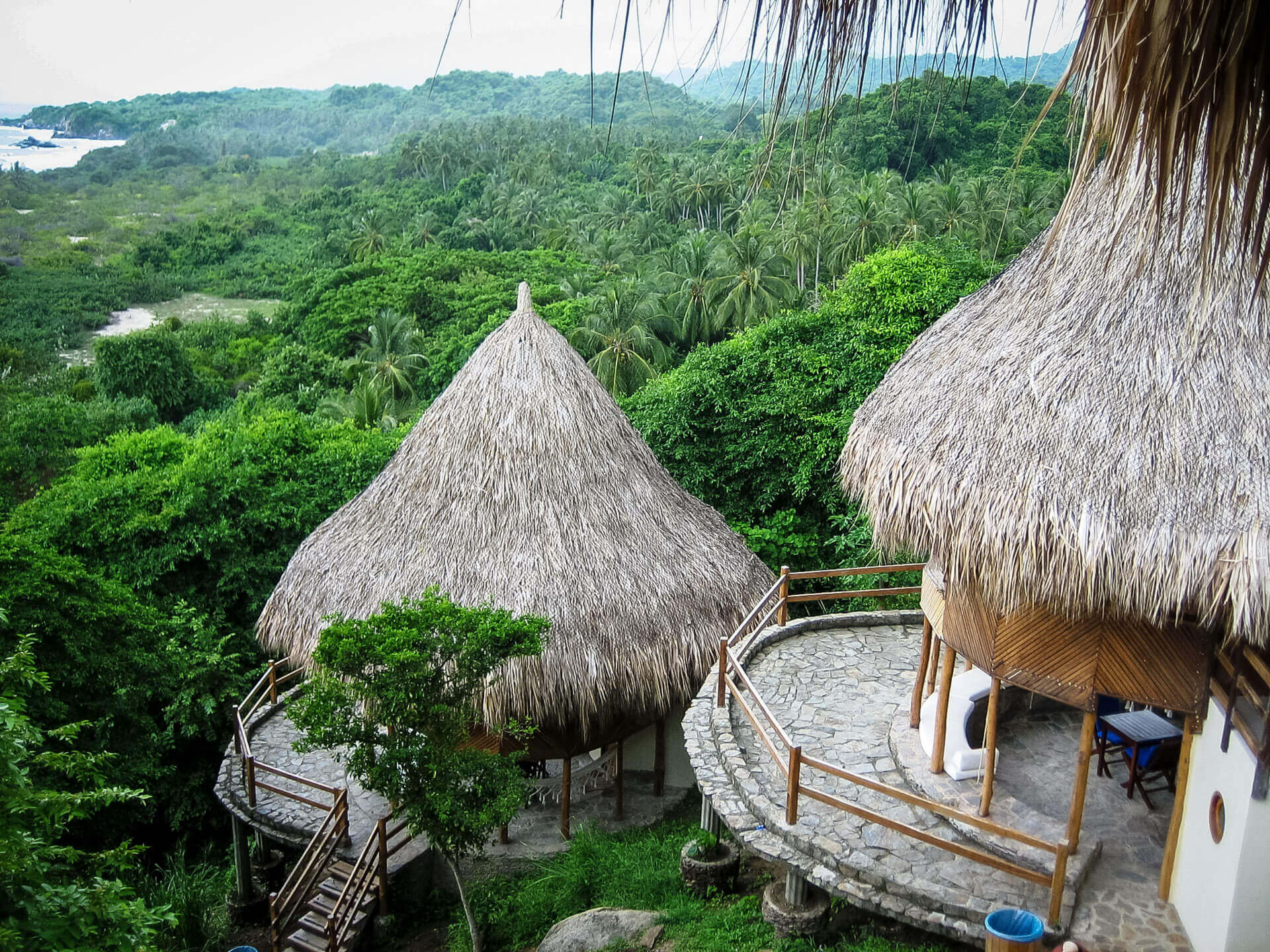 The jungle of Parque Tayrona