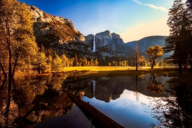 What Makes Landscapes Vital for Global Ecosystems?