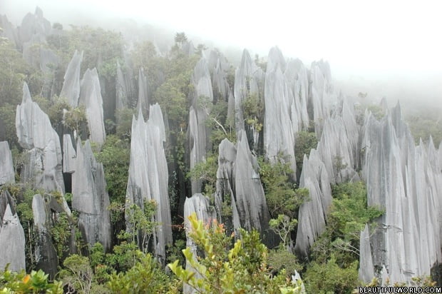 pinnacles-stone-forest-national-park