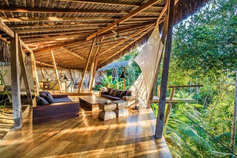 Must-Know Travel Tips for Latin American Rainforest Trips