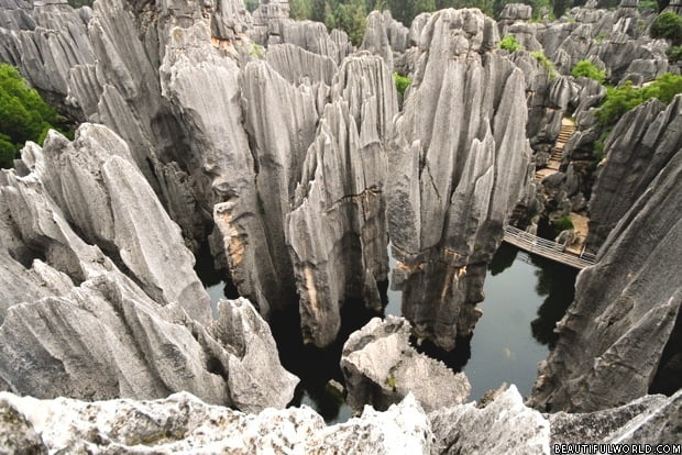 razor-rock-mountains-stone-forest