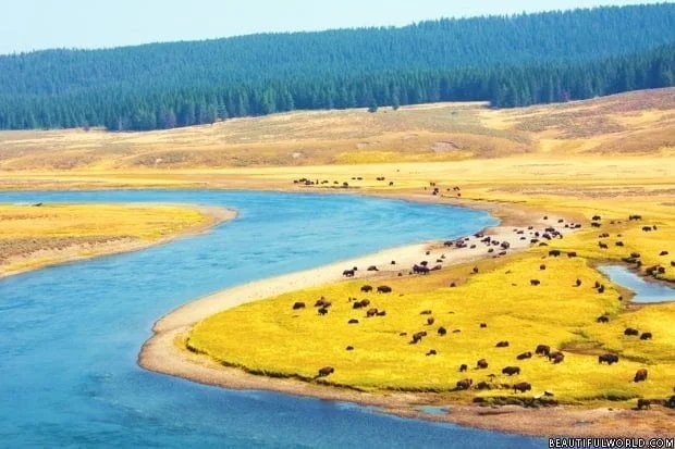 river-yellowstone-national-park