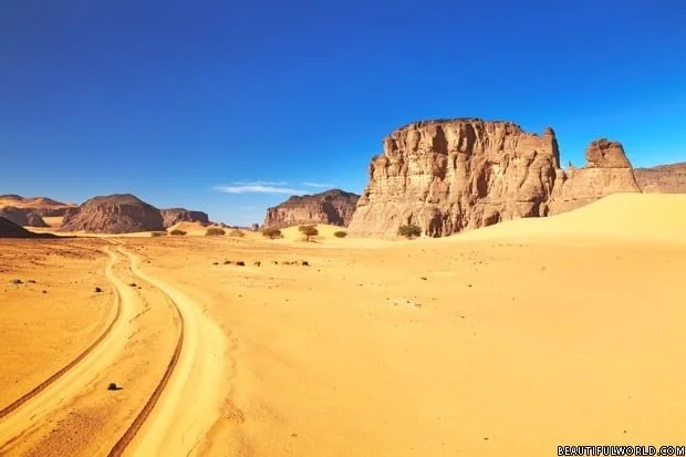 road-in-sahara-desert