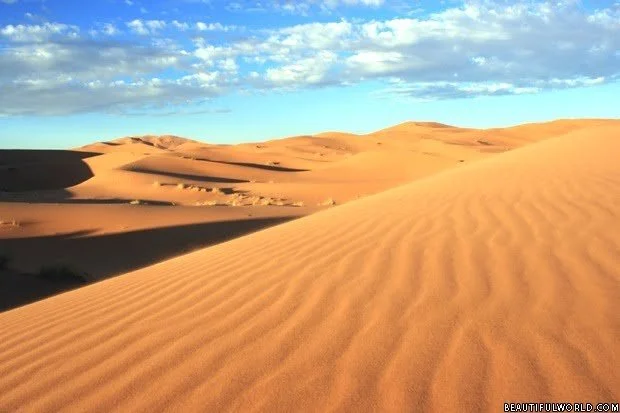 sahara-desert