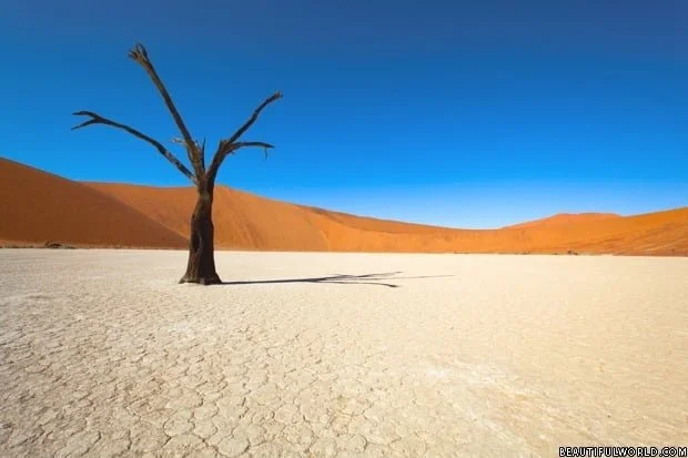 sossusvlei-namib-desert
