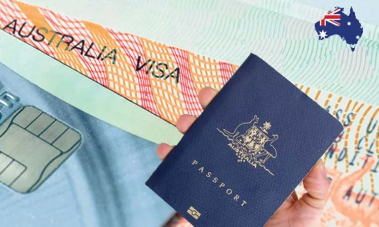Why Immigration Lawyers are Useful in the Visa Process