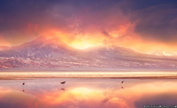 sunset-over-andes-mountains-and-atacama-desert