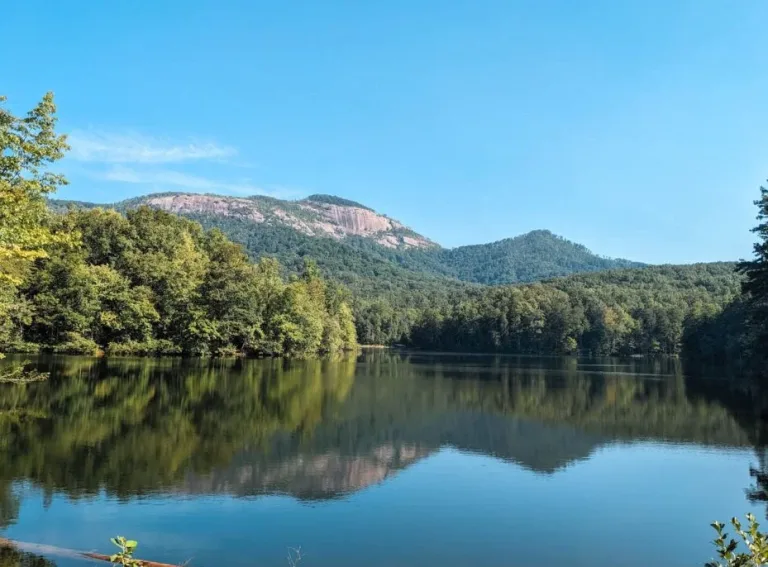 Four Hikes You Have To Take In Missouri This Year