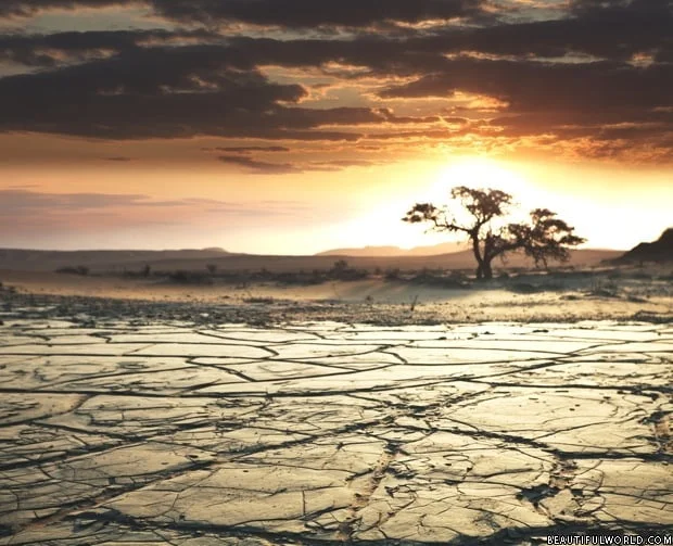 the-gobi-desert