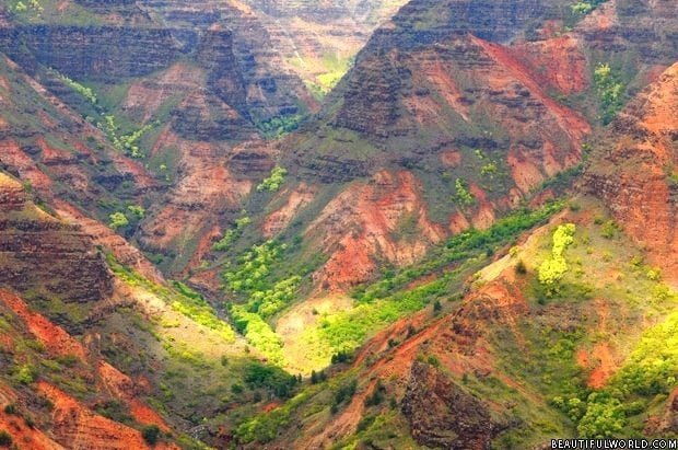the-waimea-canyon