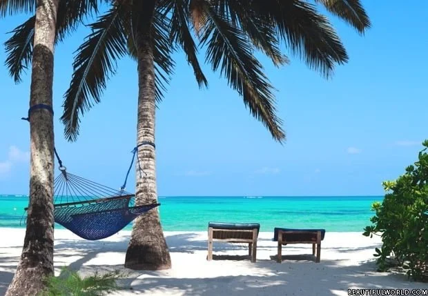 tropical-beach-zanzibar