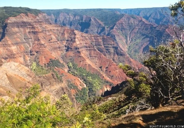 waimea-canyon-kauai
