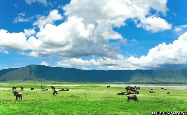 Ngorongoro crater