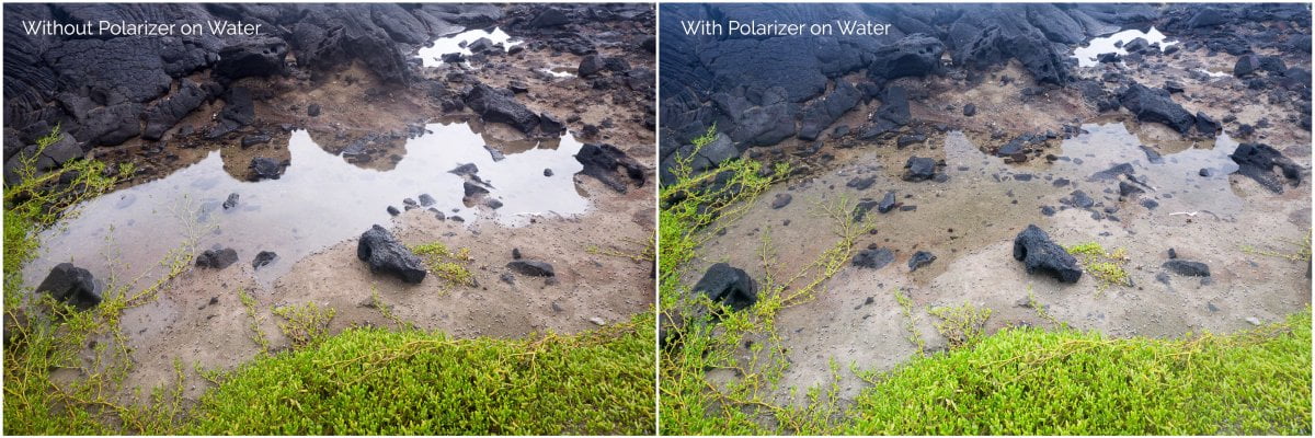With and without polarising filter