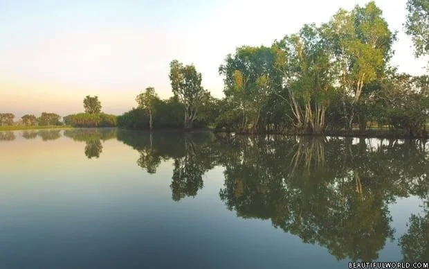 yellow-water-billabong-kakadu-national-park